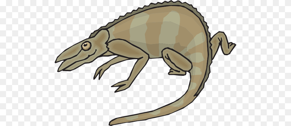 Download Brown And Gray Chameleon Clipart, Animal, Fish, Sea Life, Shark Free Png