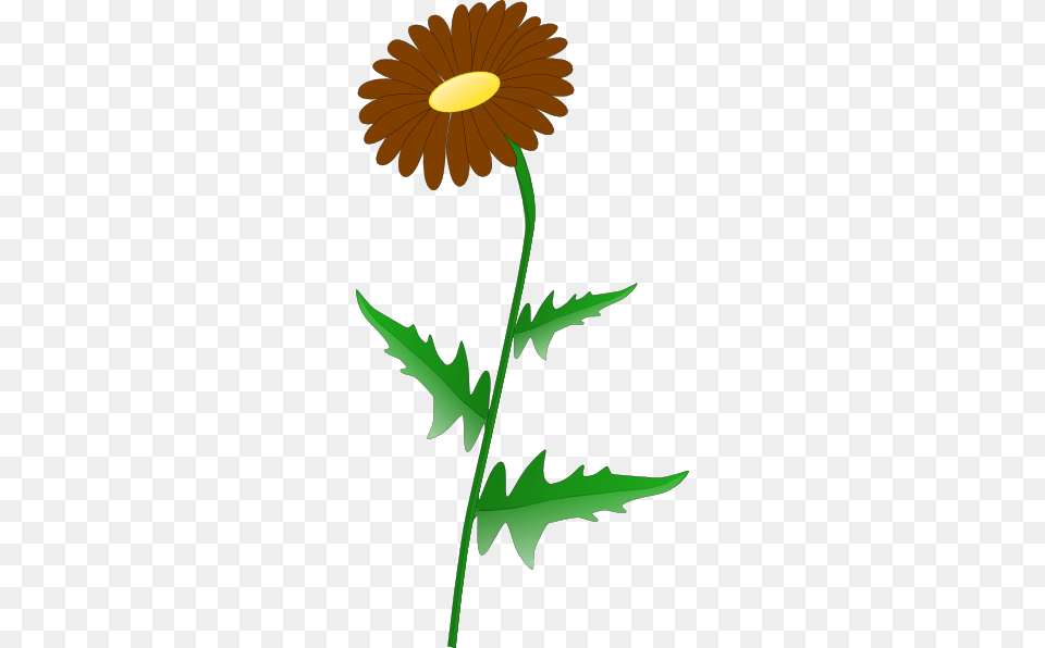 Download Brown Daisy Clipart, Flower, Plant, Leaf, Animal Free Transparent Png