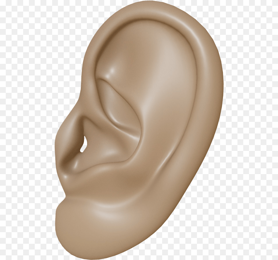 Download Brown Ears Body Part, Ear, Plate Free Transparent Png