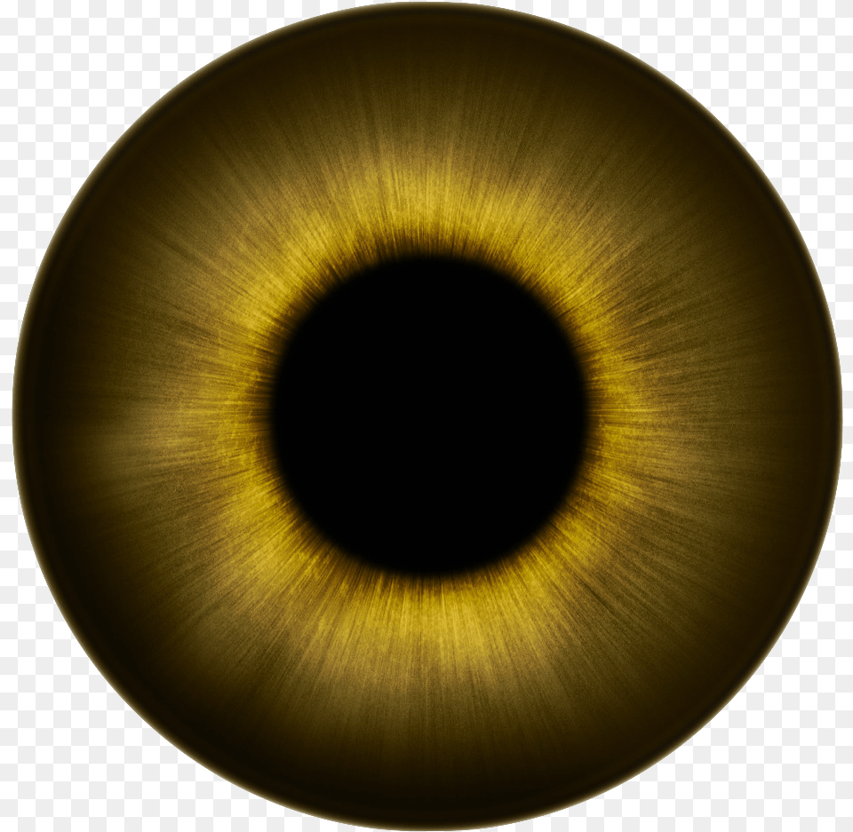 Download Brown Eyeball Transparent Iris Eye Texture, Hole, Pattern, Plate, Accessories Png