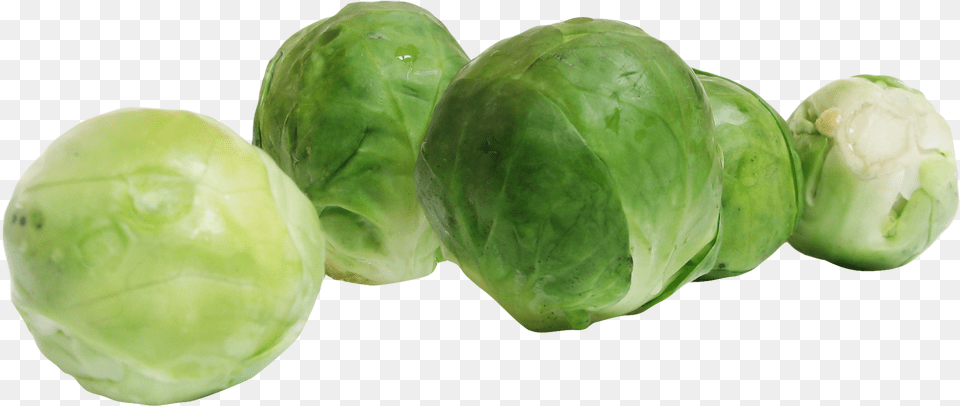 Brussels Sprouts For Brussel Sprouts Clipart, Food, Produce, Plant Free Png Download