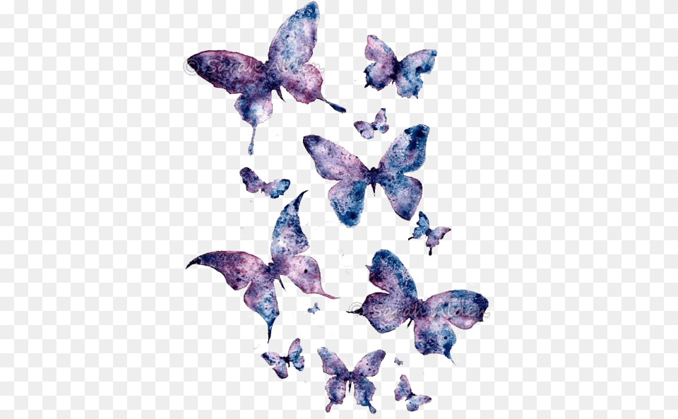 Download Butterfly Art Purple Watercolor Paper Painting Hq Purple Butterfly Art, Accessories, Animal, Fish, Sea Life Free Transparent Png