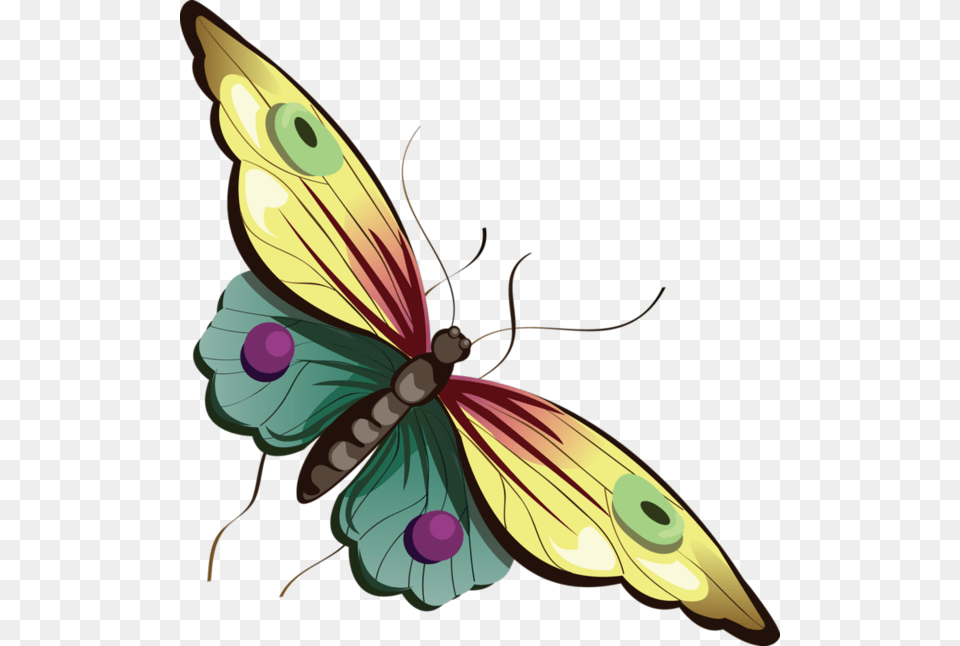Download Butterfly Cartoon Clipart Butterfly Clip Art, Graphics, Animal, Bee, Insect Png Image