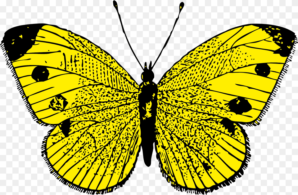 Download Butterfly For Yellow Butterfly Cliparts, Animal, Insect, Invertebrate Png Image