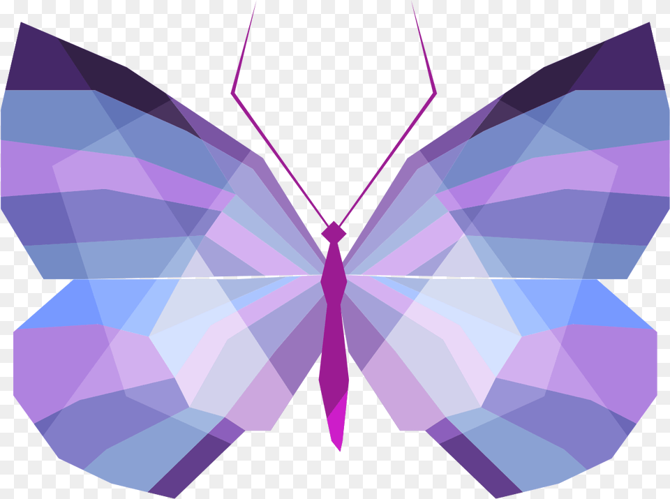 Download Butterfly Lilac Geometry Color Drawing, Accessories, Formal Wear, Purple, Tie Png Image