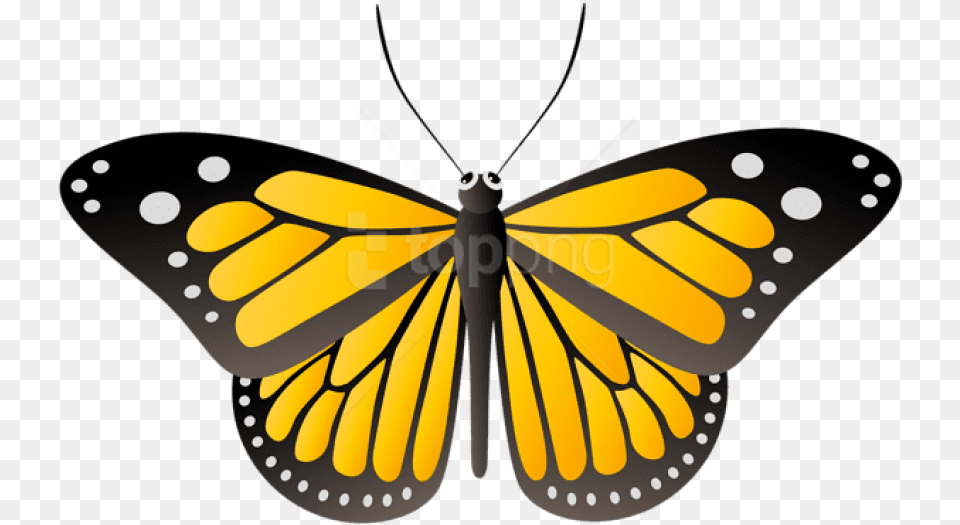 Butterfly Yellow Clipart Yellow Butterfly, Animal, Insect, Invertebrate, Monarch Free Png Download