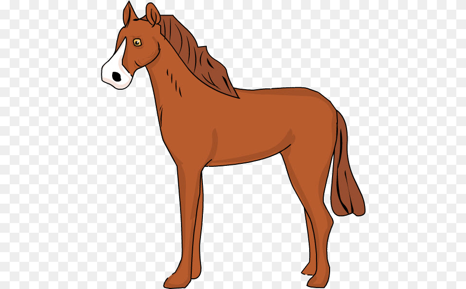 Caballo With No Caballo, Animal, Colt Horse, Horse, Mammal Free Png Download