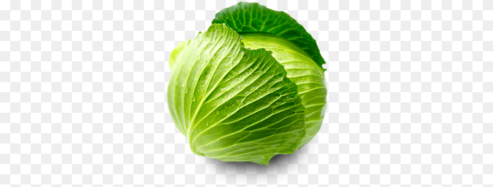 Download Cabbage Clipart Cabbage Leaf, Food, Leafy Green Vegetable, Plant, Produce Free Transparent Png