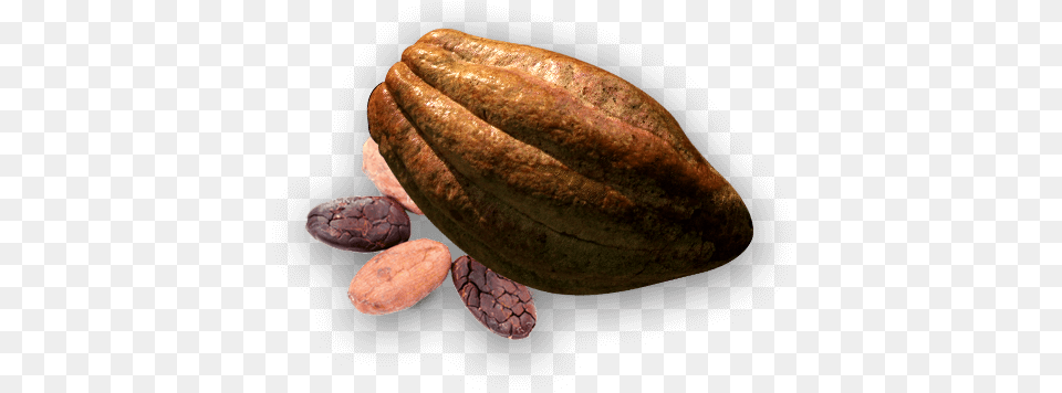 Download Cacao Cacao, Cocoa, Dessert, Food Png