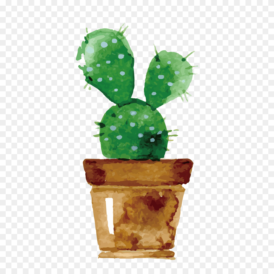 Cactaceae Watercolor Painting Drawing Succulent Transparent Backgrounds Watercolor Cactus Clipart, Plant Free Png Download