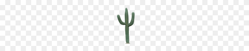 Download Cactus Photo And Clipart Freepngimg, Cross, Symbol, Plant Free Png