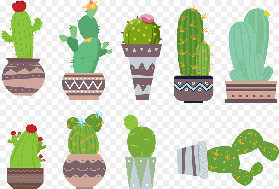 Download Cactus Tumblr Image Cactus, Plant, Potted Plant, Animal, Baby Png