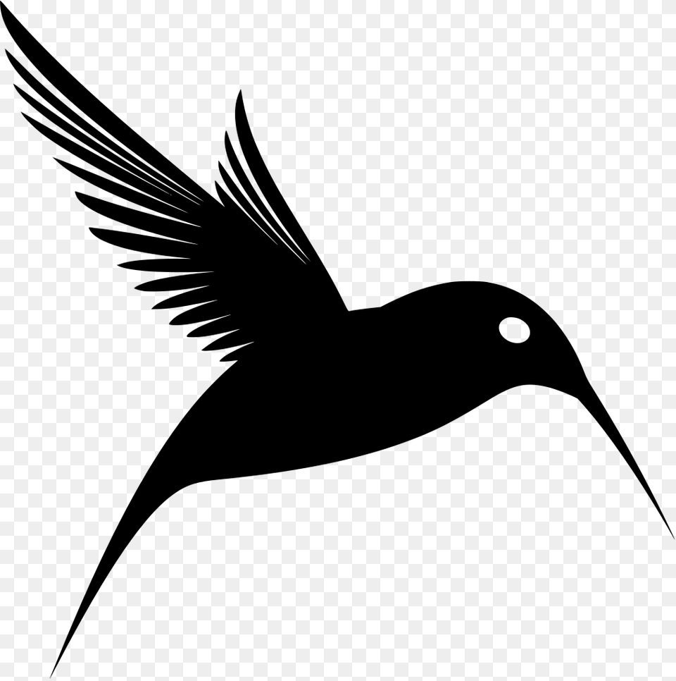 Download Cafepress Purple Humming Bird Throw Pillow, Gray Png Image