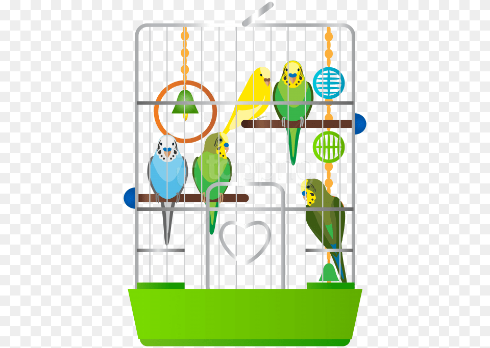 Cage With Parrots Clipart Photo Birds In The Cage Clipart, Animal, Bird, Parrot, Parakeet Free Png Download