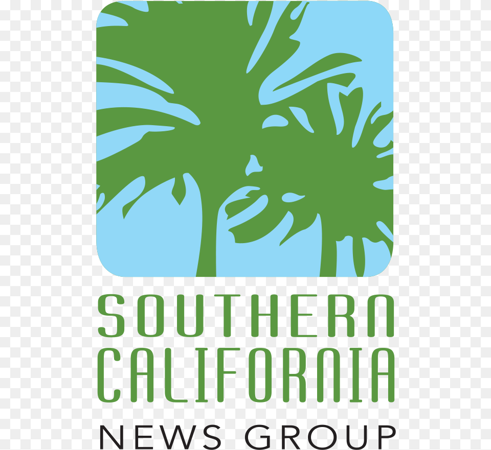 Download California, Palm Tree, Plant, Summer, Tree Free Transparent Png