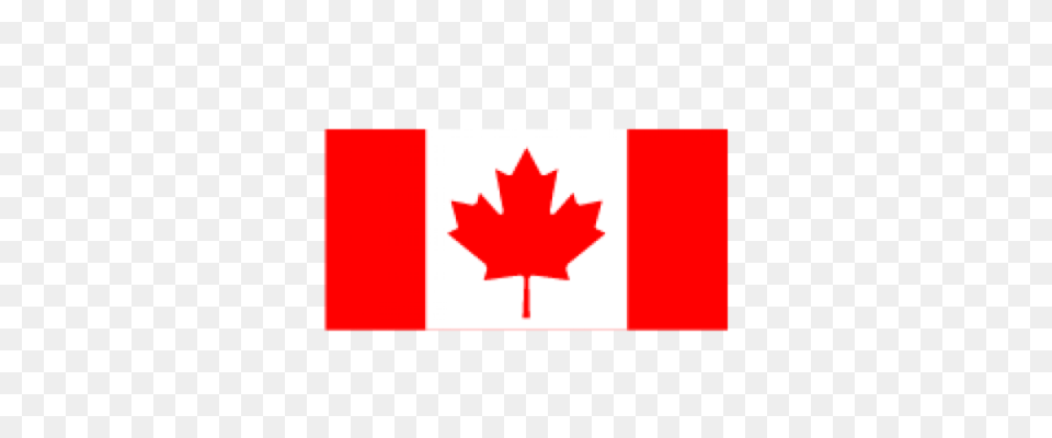 Canada Flag Transparent Image And Clipart, Leaf, Plant, Maple Leaf Free Png Download