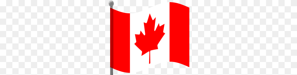 Download Canada Flag Transparent Image And Clipart, Leaf, Plant Free Png