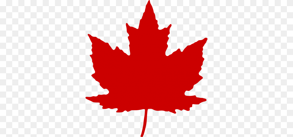 Download Canada Leaf Image And Clipart, Maple Leaf, Plant, Tree, Person Png