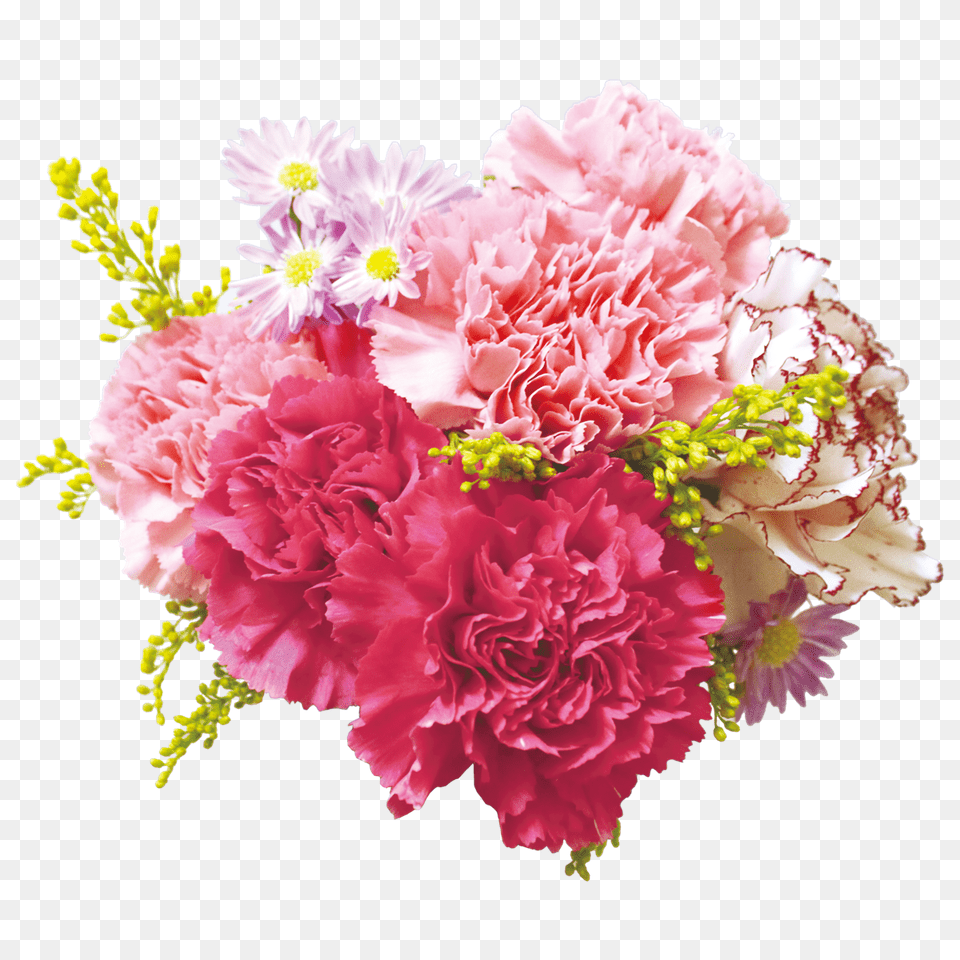 Download Carnation Flowers Background Background Real Flowers, Flower, Flower Arrangement, Flower Bouquet, Plant Free Transparent Png