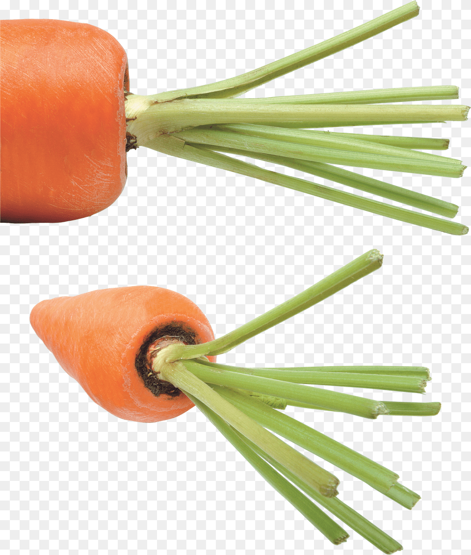 Download Carrot For Carrot, Number, Symbol, Text, Logo Free Png