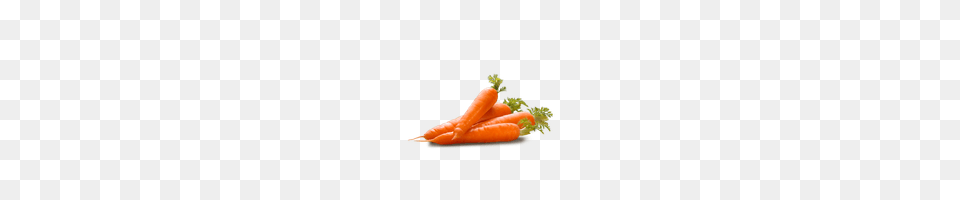 Download Carrot Free Photo And Clipart Freepngimg, Food, Plant, Produce, Vegetable Png