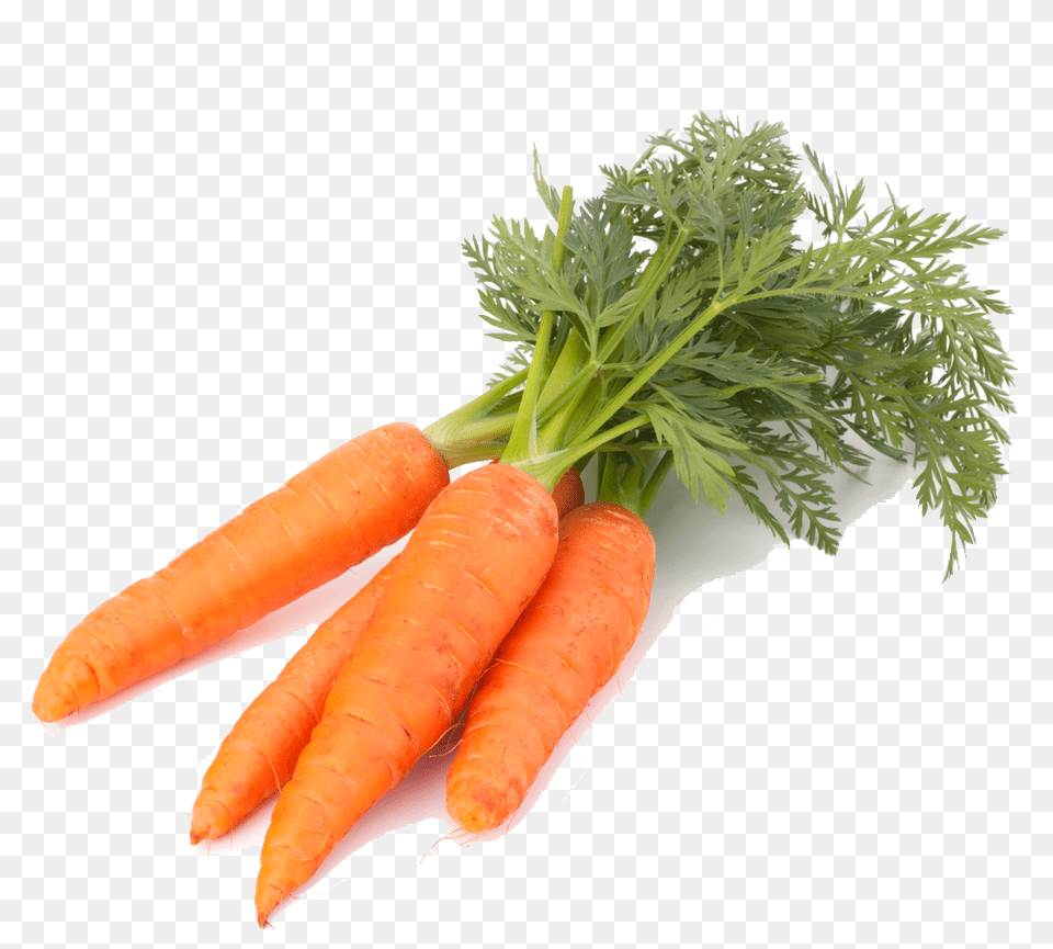 Download Carrot Roots That We Eat, Food, Plant, Produce, Vegetable Free Transparent Png