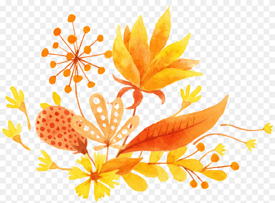 Download Cartoon Autumn Leaves Transparent Buckle Illustration, Plant, Leaf, Flower, Graphics Free Png