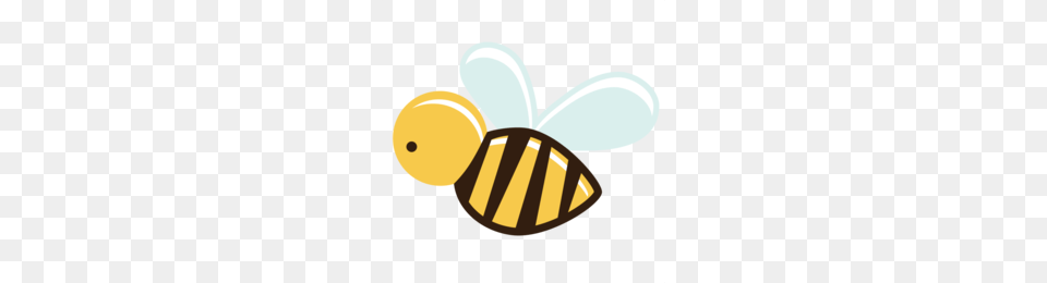 Cartoon Bee Clipart Bee Insect, Animal, Honey Bee, Invertebrate, Wasp Free Png Download