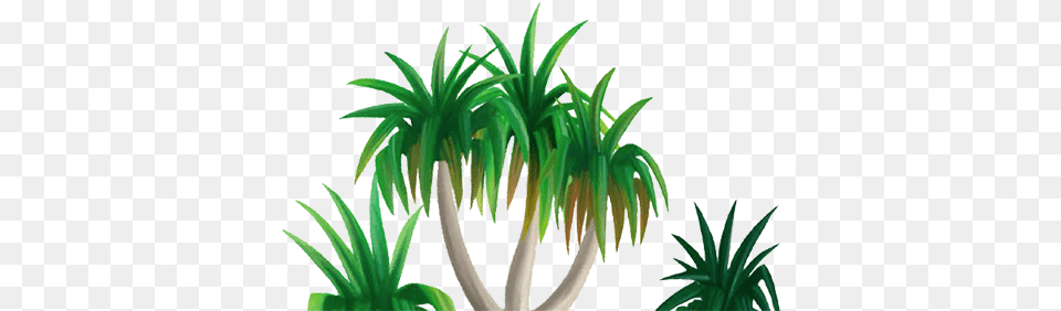 Download Cartoon Drawing Of Tropical Tree Grass Image Grass, Plant, Potted Plant, Aloe Free Png