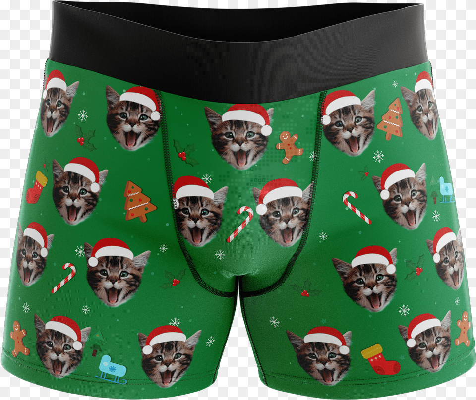Cat Hat Boxers Santa Briefs, Clothing, Swimming Trunks, Animal, Mammal Free Png Download