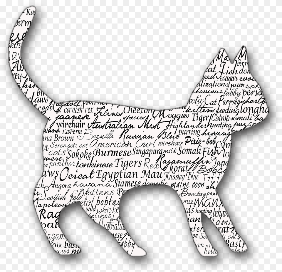 Cat Outline Image With No Animal Figure, Text, Handwriting, Baby, Person Free Png Download