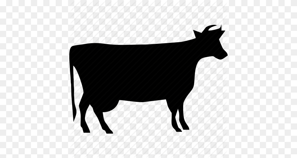 Download Cattle Vaccination Icon Clipart Beef Cattle Injection, Livestock, Animal, Mammal, Cow Png Image