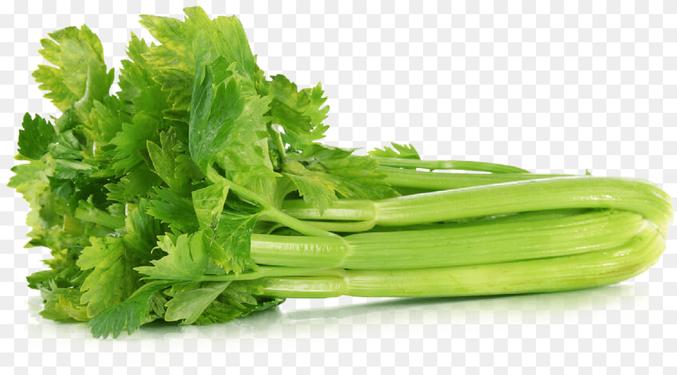 Download Celery File Celery Meaning In Hindi, Herbs, Plant, Food, Produce Png