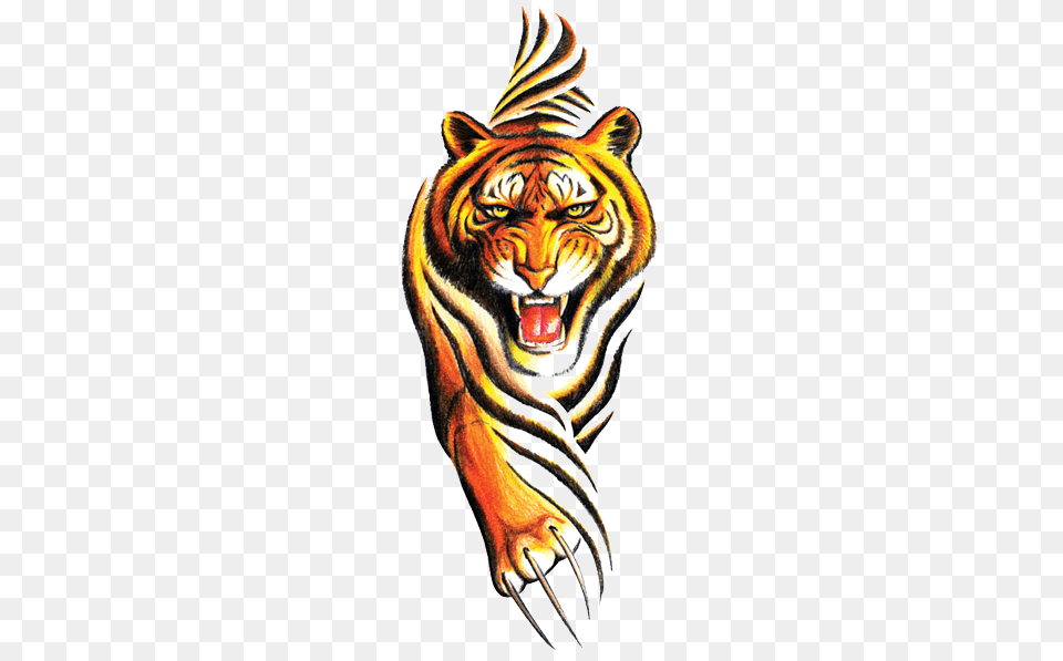 Download Celtic Tattoos Transparent Image And Clipart, Animal, Mammal, Tiger, Wildlife Free Png