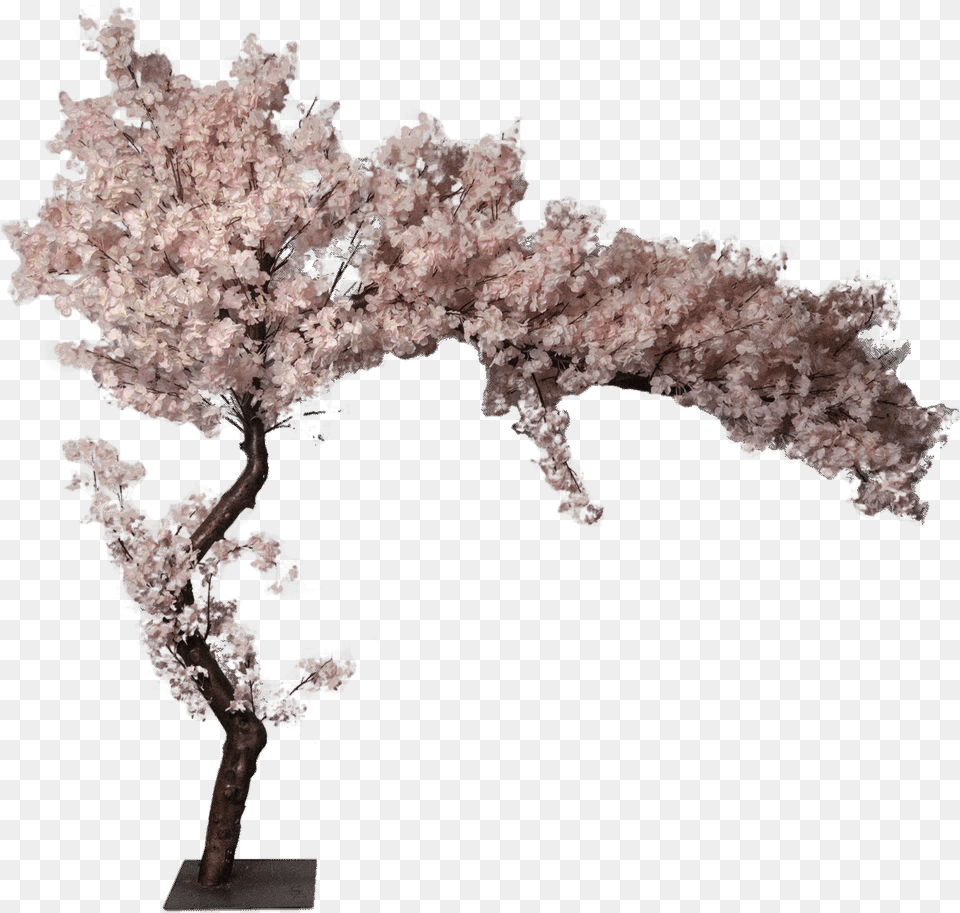Download Cherry Blossom Artificial Tree 0 Cherry Blossom Sakura Artificial Tree, Flower, Plant, Cherry Blossom Png