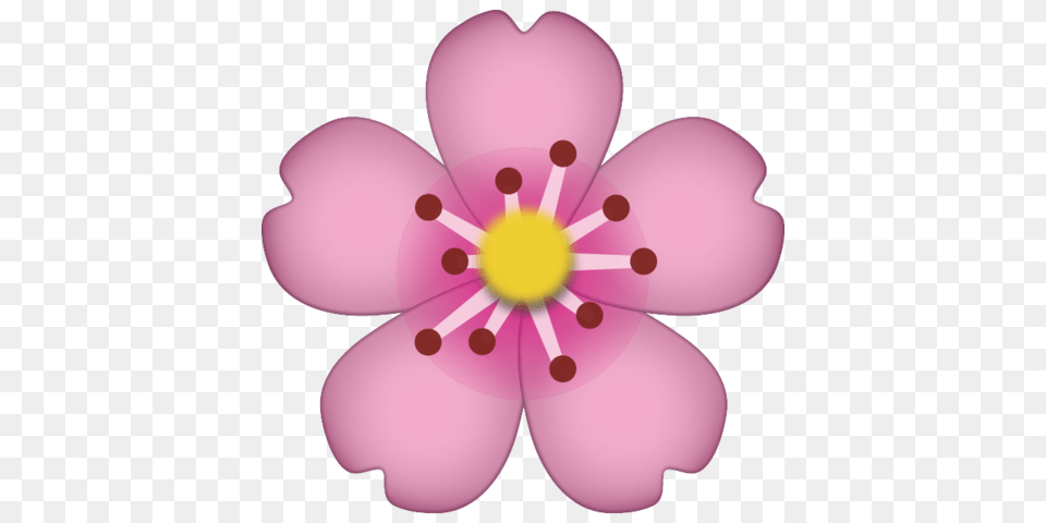 Download Cherry Blossom Emoji Icon Emoji Island, Anemone, Anther, Flower, Plant Free Transparent Png