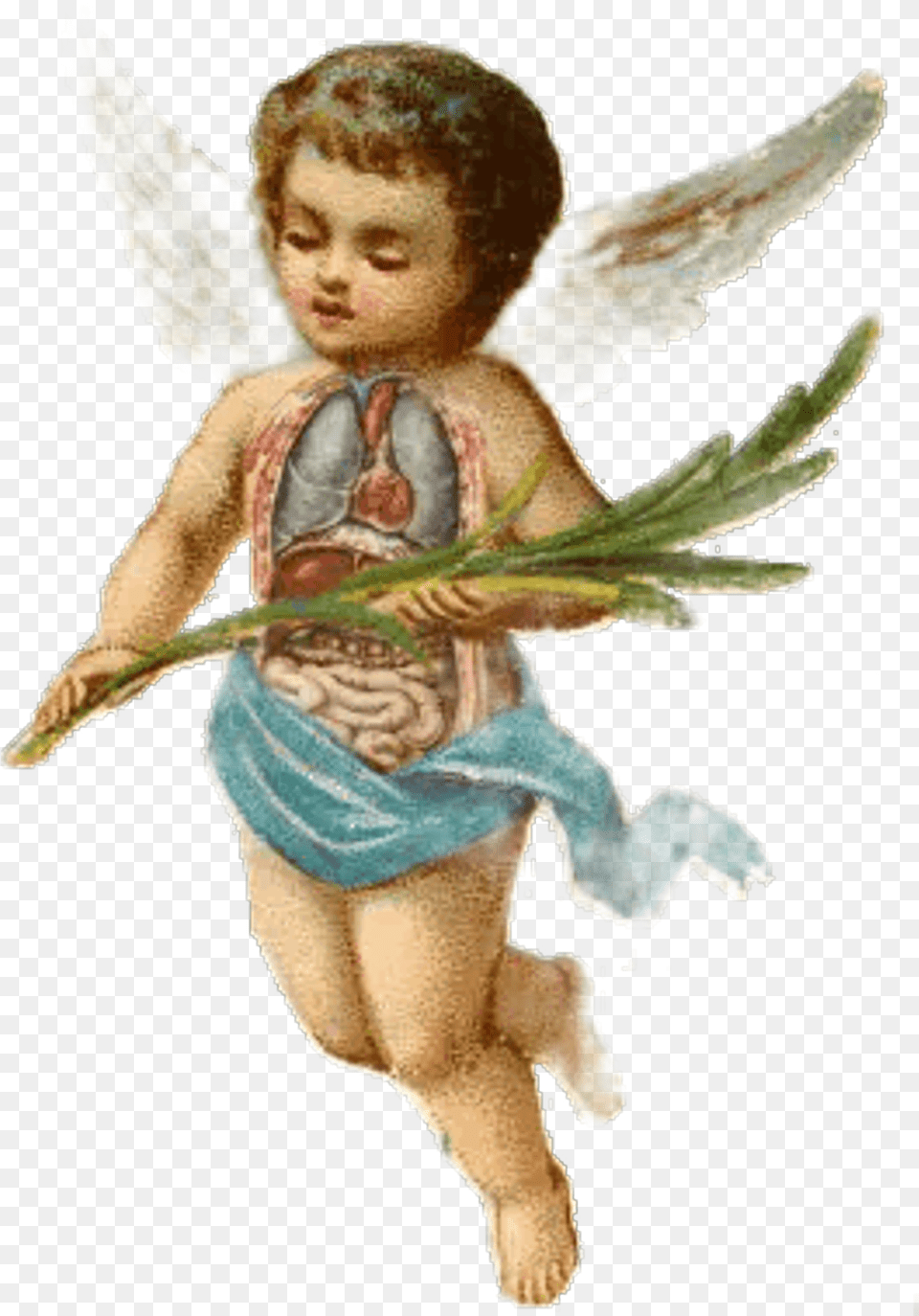 Download Cherub Sticker Baby Boy Angels Image With No Christmas Angel Illustration Vintage, Person, Face, Head, Cupid Free Transparent Png
