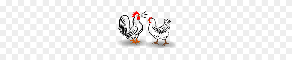 Chicken Category Clipart And Icons Freepngclipart, Animal, Bird, Fowl, Poultry Free Png Download