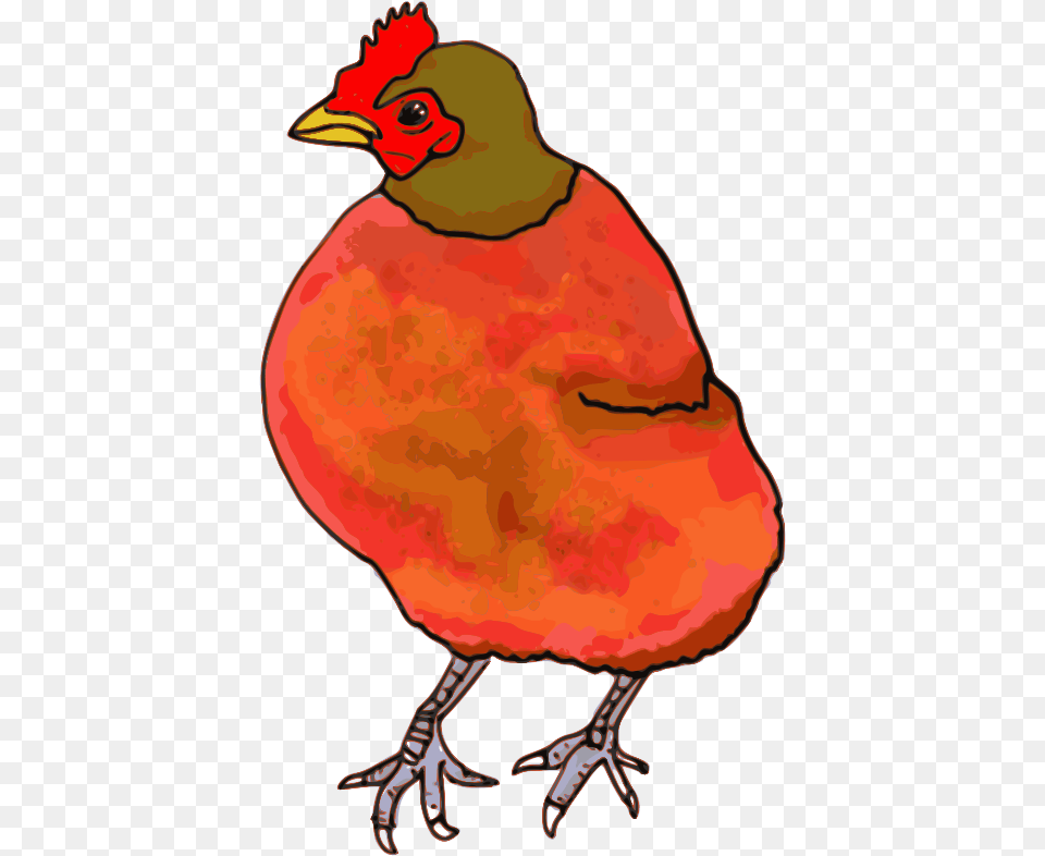 Download Chicken Clip Art Clipart Of Cute Baby Chicks Hens, Animal, Beak, Bird, Person Free Png