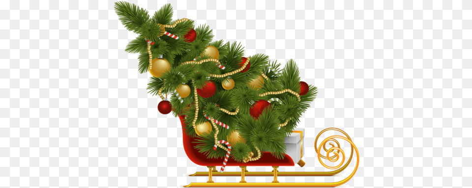 Download Christmas Backgroundtreetransparent Trineo Del Rbol De Navidad, Plant, Tree, Christmas Decorations, Conifer Free Transparent Png