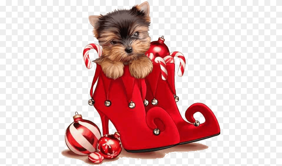 Christmas Dog Merry Transparent Christmas Dogs, Accessories, Bag, Handbag, Animal Free Png Download