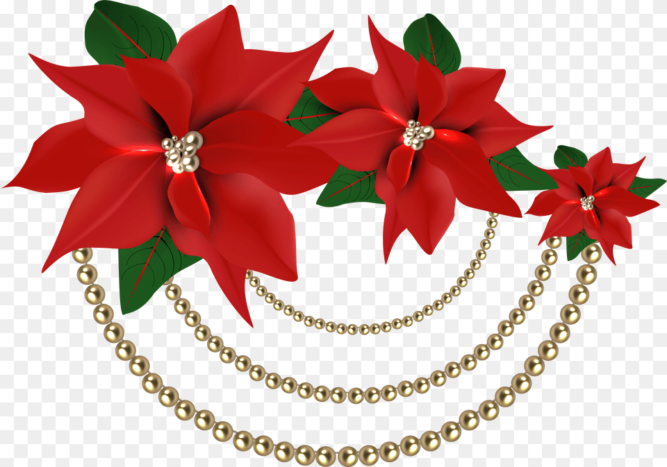 Download Christmas Flowers Poinsettia Flower Background, Accessories, Necklace, Jewelry, Plant Free Transparent Png