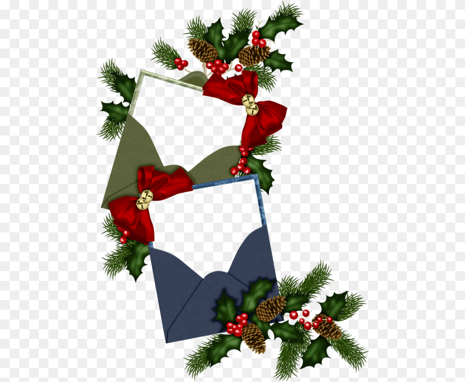 Download Christmas Holly Christmas Day Image With No Christmas Day, Tree, Plant, Rose, Flower Free Transparent Png