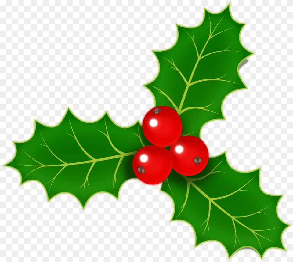 Download Christmas Holly Holly Berry, Leaf, Plant, Food, Fruit Png Image