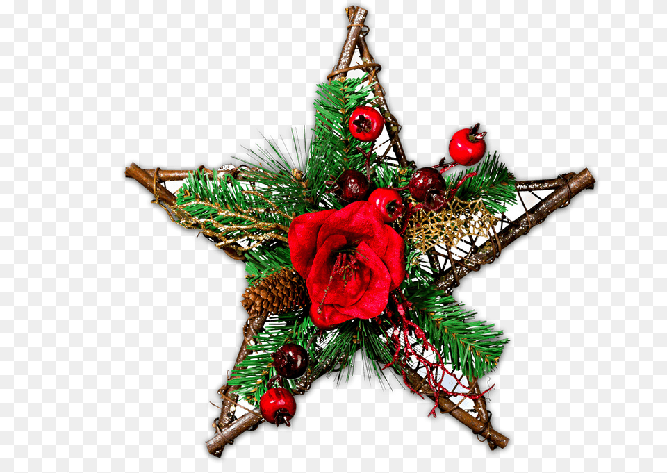 Download Christmas Stars Clipart Transparent Christmas Star Clipart, Flower, Plant, Rose, Accessories Png Image