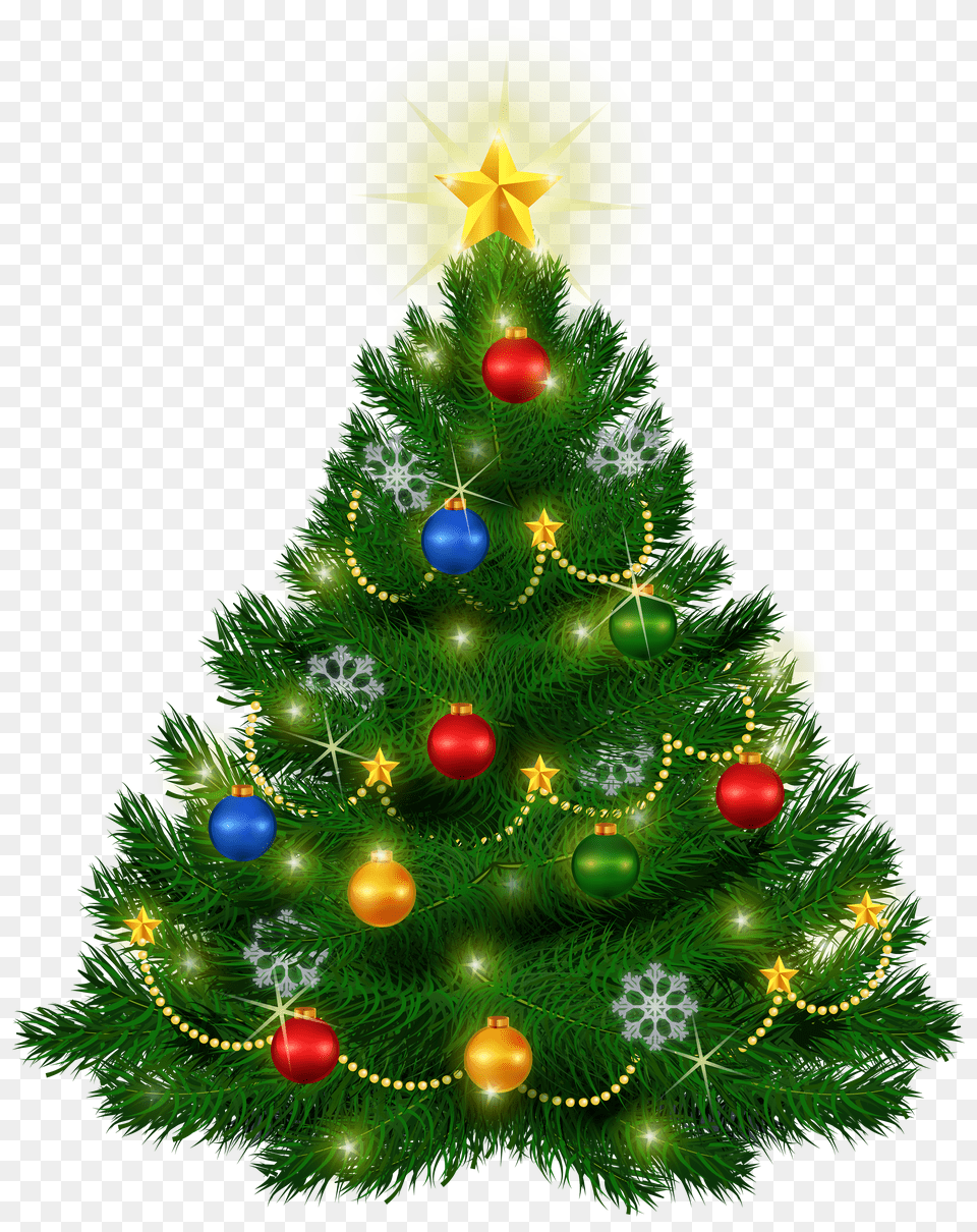 Download Christmas Tree Christmas Tree Images Free Png