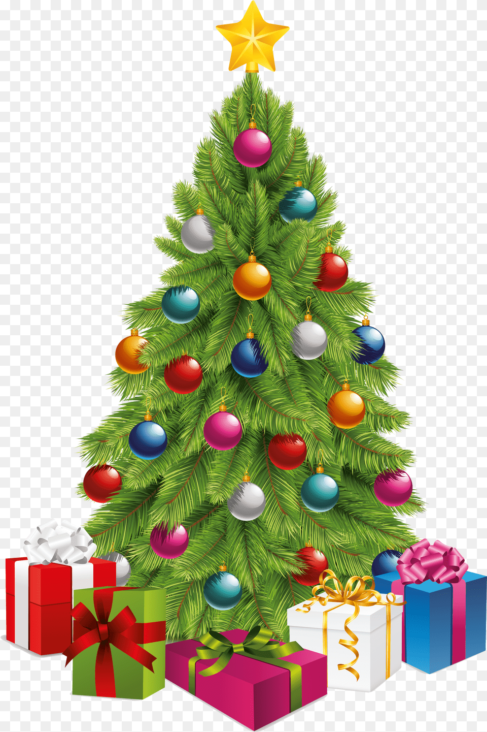 Download Christmas Tree Ging Sinh Ti Nng 2019, Flower, Plant, Thistle Png Image