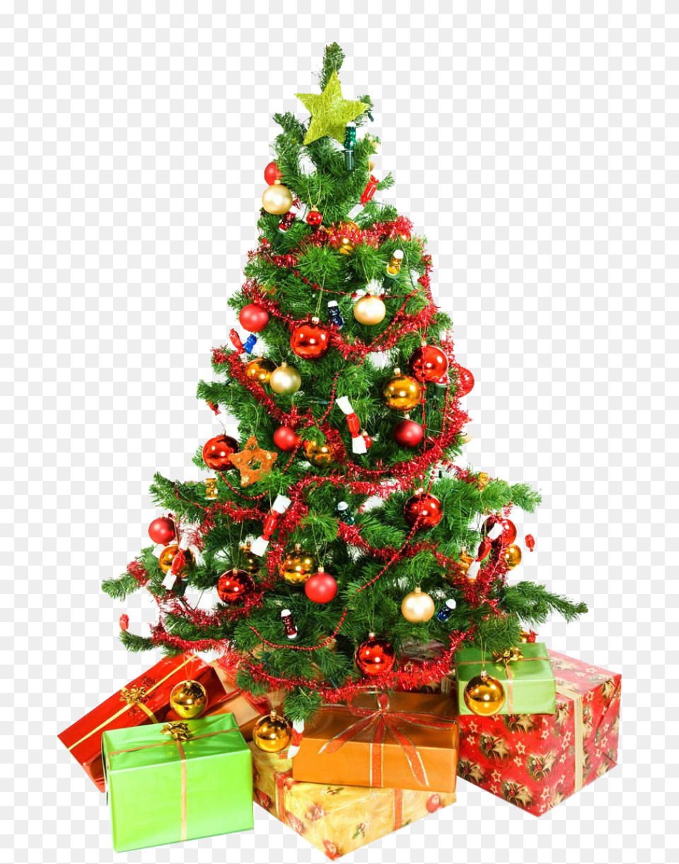 Christmas Tree Presents Underneath Image For Christmas Tree High Resolution, Plant, Festival, Christmas Decorations, Wedding Free Png Download