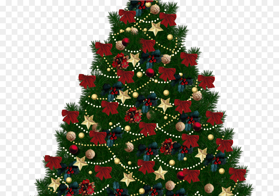 Download Christmas Tree Sale Christmas Tree Clip Art No Transparent Background Christmas Tree, Plant, Christmas Decorations, Festival, Christmas Tree Png