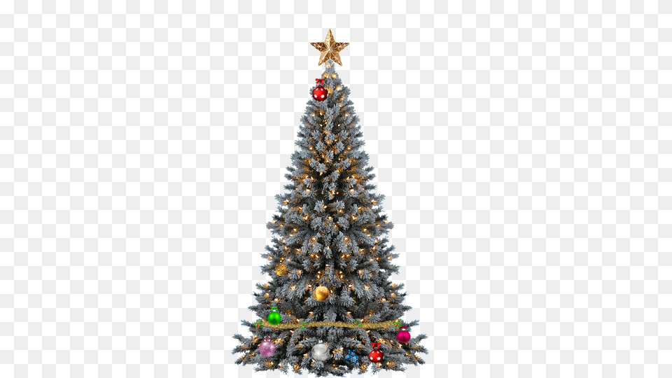 Download Christmas Tree Transparent Justin Bieber Christmas Tree, Plant, Christmas Decorations, Festival, Christmas Tree Png Image